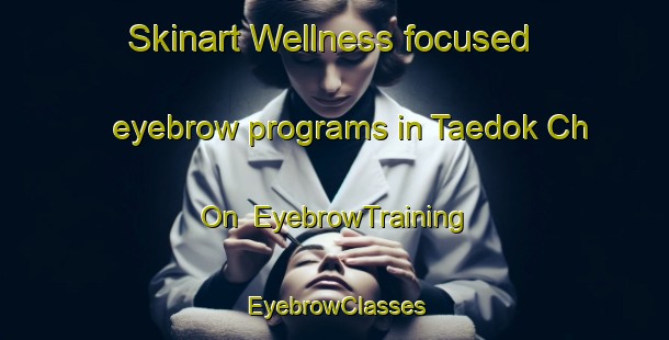 Skinart Wellness-focused eyebrow programs in Taedok Ch On | EyebrowTraining | EyebrowClasses | SkinartTraining-Korea