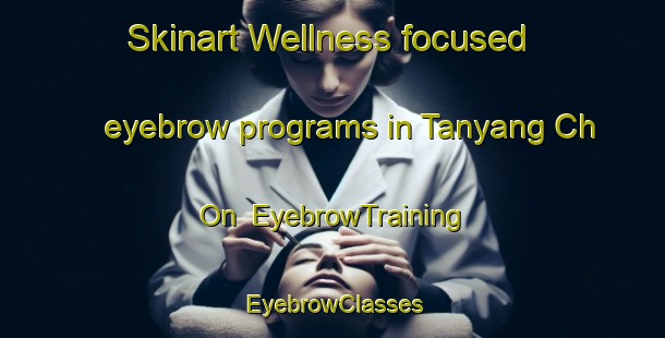 Skinart Wellness-focused eyebrow programs in Tanyang Ch On | EyebrowTraining | EyebrowClasses | SkinartTraining-Korea