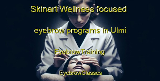Skinart Wellness-focused eyebrow programs in Ulmi | EyebrowTraining | EyebrowClasses | SkinartTraining-Korea