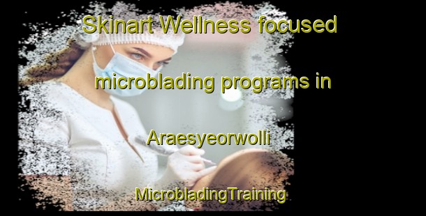 Skinart Wellness-focused microblading programs in Araesyeorwolli | #MicrobladingTraining #MicrobladingClasses #SkinartTraining-Korea