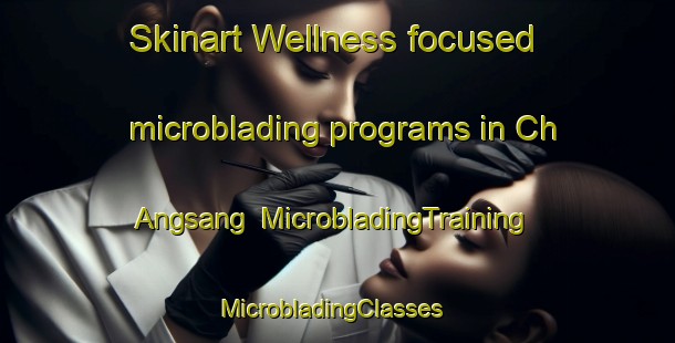 Skinart Wellness-focused microblading programs in Ch Angsang | MicrobladingTraining | MicrobladingClasses | SkinartTraining-Korea