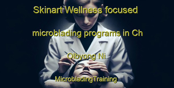 Skinart Wellness-focused microblading programs in Ch Olbyong Ni | #MicrobladingTraining #MicrobladingClasses #SkinartTraining-Korea