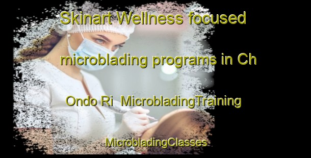 Skinart Wellness-focused microblading programs in Ch Ondo Ri | #MicrobladingTraining #MicrobladingClasses #SkinartTraining-Korea