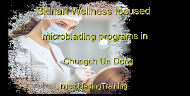 Skinart Wellness-focused microblading programs in Chungch Un Dong | #MicrobladingTraining #MicrobladingClasses #SkinartTraining-Korea