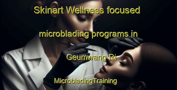 Skinart Wellness-focused microblading programs in Geumwang Ri | MicrobladingTraining | MicrobladingClasses | SkinartTraining-Korea