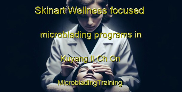 Skinart Wellness-focused microblading programs in Kuyang Il Ch On | #MicrobladingTraining #MicrobladingClasses #SkinartTraining-Korea