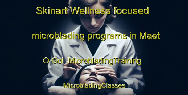 Skinart Wellness-focused microblading programs in Maet O Gol | #MicrobladingTraining #MicrobladingClasses #SkinartTraining-Korea