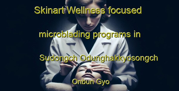 Skinart Wellness-focused microblading programs in Sudongch Odunghakkyosongch Onbun Gyo | #MicrobladingTraining #MicrobladingClasses #SkinartTraining-Korea