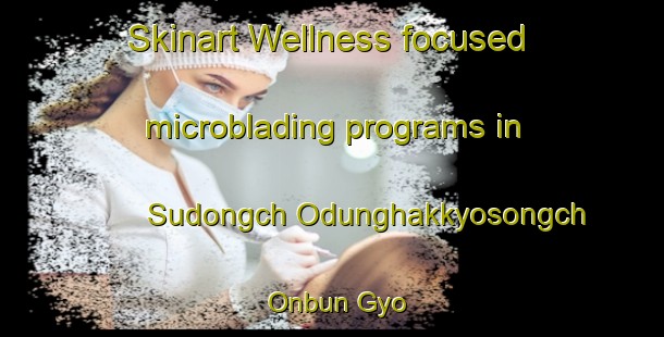 Skinart Wellness-focused microblading programs in Sudongch Odunghakkyosongch Onbun Gyo | #MicrobladingTraining #MicrobladingClasses #SkinartTraining-Korea