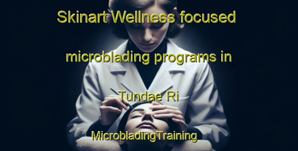 Skinart Wellness-focused microblading programs in Tundae Ri | MicrobladingTraining | MicrobladingClasses | SkinartTraining-Korea