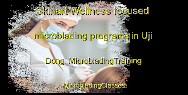 Skinart Wellness-focused microblading programs in Uji Dong | #MicrobladingTraining #MicrobladingClasses #SkinartTraining-Korea