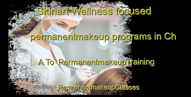 Skinart Wellness-focused permanentmakeup programs in Ch A To | PermanentmakeupTraining | PermanentmakeupClasses | SkinartTraining-Korea