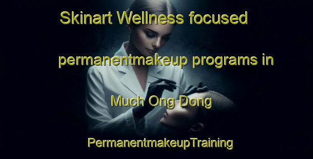 Skinart Wellness-focused permanentmakeup programs in Much Ong Dong | PermanentmakeupTraining | PermanentmakeupClasses | SkinartTraining-Korea