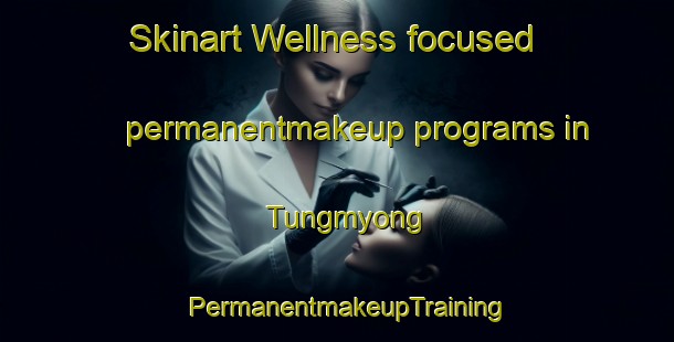 Skinart Wellness-focused permanentmakeup programs in Tungmyong | PermanentmakeupTraining | PermanentmakeupClasses | SkinartTraining-Korea