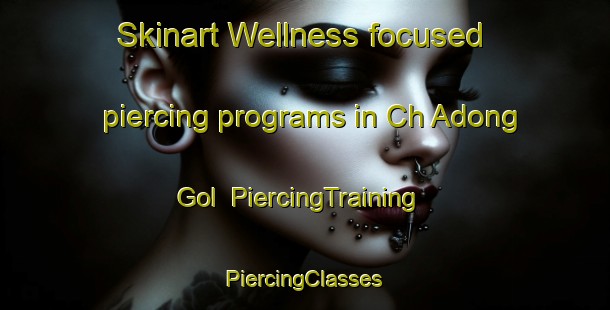 Skinart Wellness-focused piercing programs in Ch Adong Gol | #PiercingTraining #PiercingClasses #SkinartTraining-Korea