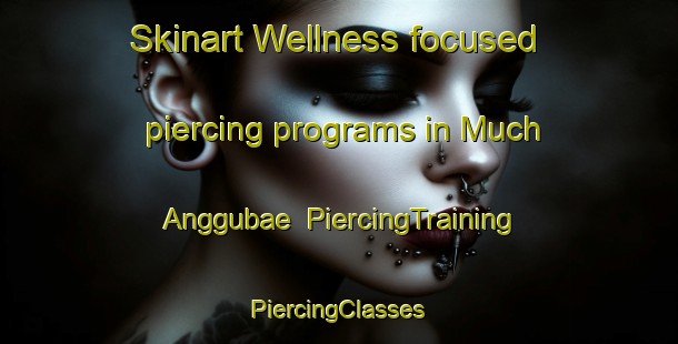 Skinart Wellness-focused piercing programs in Much Anggubae | #PiercingTraining #PiercingClasses #SkinartTraining-Korea