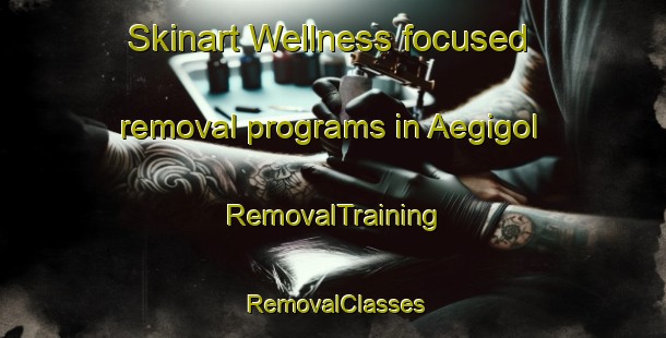 Skinart Wellness-focused removal programs in Aegigol | RemovalTraining | RemovalClasses | SkinartTraining-Korea
