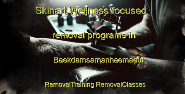 Skinart Wellness-focused removal programs in Baekdamsamanhaemaeul | #RemovalTraining #RemovalClasses #SkinartTraining-Korea