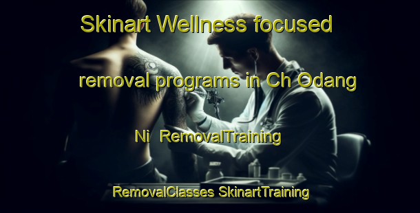 Skinart Wellness-focused removal programs in Ch Odang Ni | #RemovalTraining #RemovalClasses #SkinartTraining-Korea