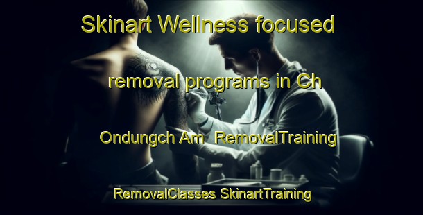 Skinart Wellness-focused removal programs in Ch Ondungch Am | #RemovalTraining #RemovalClasses #SkinartTraining-Korea