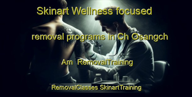 Skinart Wellness-focused removal programs in Ch Osangch Am | #RemovalTraining #RemovalClasses #SkinartTraining-Korea