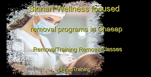 Skinart Wellness-focused removal programs in Chaeap | #RemovalTraining #RemovalClasses #SkinartTraining-Korea