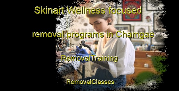Skinart Wellness-focused removal programs in Chamgae | RemovalTraining | RemovalClasses | SkinartTraining-Korea