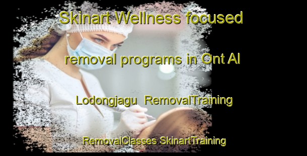 Skinart Wellness-focused removal programs in Ont Al Lodongjagu | #RemovalTraining #RemovalClasses #SkinartTraining-Korea