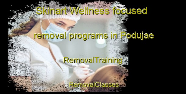 Skinart Wellness-focused removal programs in Podujae | RemovalTraining | RemovalClasses | SkinartTraining-Korea