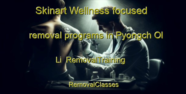 Skinart Wellness-focused removal programs in Pyongch Ol Li | RemovalTraining | RemovalClasses | SkinartTraining-Korea