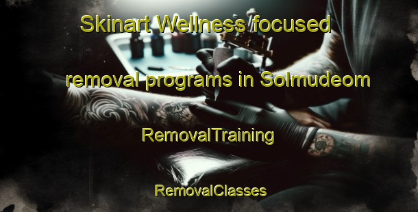 Skinart Wellness-focused removal programs in Solmudeom | RemovalTraining | RemovalClasses | SkinartTraining-Korea