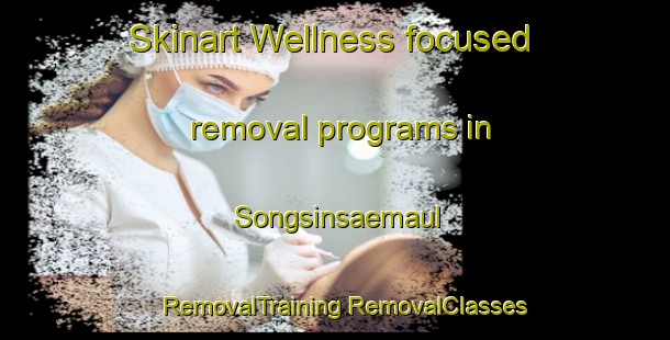 Skinart Wellness-focused removal programs in Songsinsaemaul | #RemovalTraining #RemovalClasses #SkinartTraining-Korea