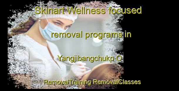 Skinart Wellness-focused removal programs in Yangjibangchukp O | #RemovalTraining #RemovalClasses #SkinartTraining-Korea