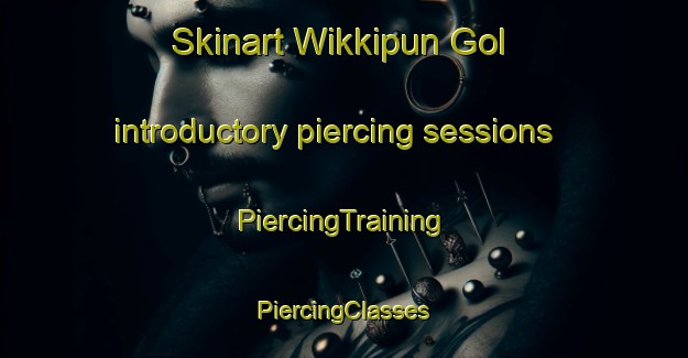 Skinart Wikkipun Gol introductory piercing sessions | #PiercingTraining #PiercingClasses #SkinartTraining-Korea