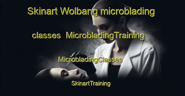 Skinart Wolbang microblading classes | MicrobladingTraining | MicrobladingClasses | SkinartTraining-Korea