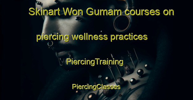 Skinart Won Gumam courses on piercing wellness practices | #PiercingTraining #PiercingClasses #SkinartTraining-Korea