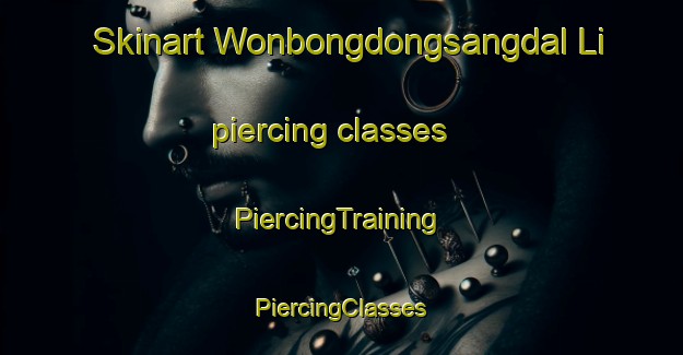 Skinart Wonbongdongsangdal Li piercing classes | #PiercingTraining #PiercingClasses #SkinartTraining-Korea