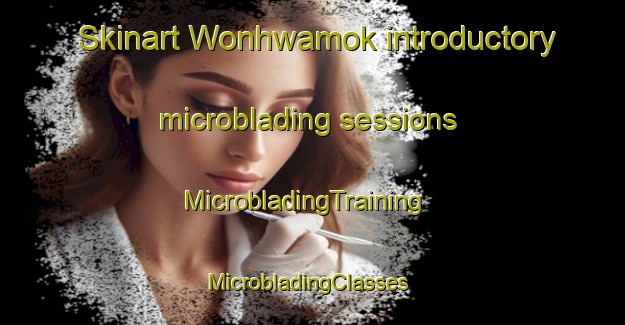 Skinart Wonhwamok introductory microblading sessions | MicrobladingTraining | MicrobladingClasses | SkinartTraining-Korea