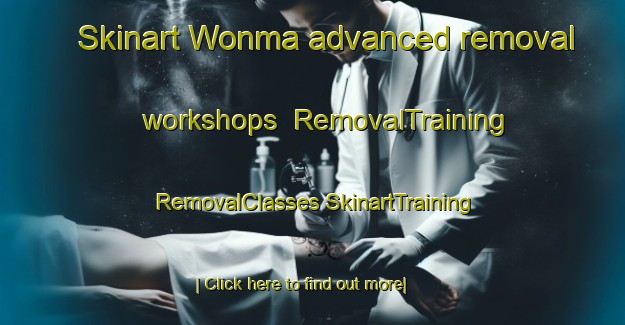 Skinart Wonma advanced removal workshops | #RemovalTraining #RemovalClasses #SkinartTraining-Korea