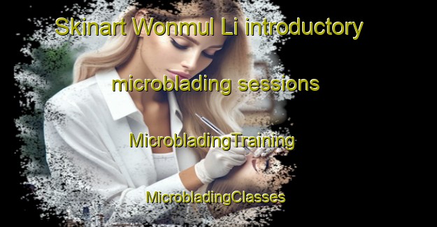 Skinart Wonmul Li introductory microblading sessions | MicrobladingTraining | MicrobladingClasses | SkinartTraining-Korea