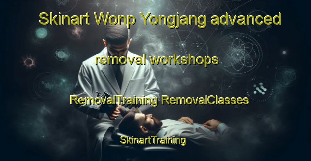 Skinart Wonp Yongjang advanced removal workshops | #RemovalTraining #RemovalClasses #SkinartTraining-Korea