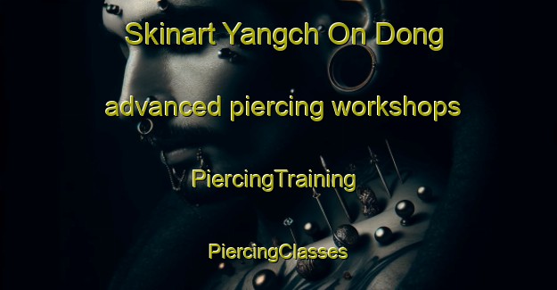 Skinart Yangch On Dong advanced piercing workshops | #PiercingTraining #PiercingClasses #SkinartTraining-Korea