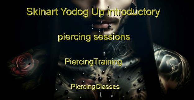 Skinart Yodog Up introductory piercing sessions | PiercingTraining | PiercingClasses | SkinartTraining-Korea