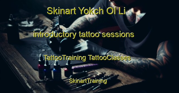 Skinart Yokch Ol Li introductory tattoo sessions | #TattooTraining #TattooClasses #SkinartTraining-Korea