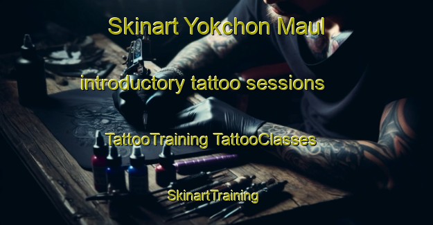 Skinart Yokchon Maul introductory tattoo sessions | #TattooTraining #TattooClasses #SkinartTraining-Korea