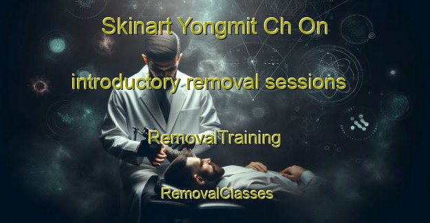 Skinart Yongmit Ch On introductory removal sessions | RemovalTraining | RemovalClasses | SkinartTraining-Korea