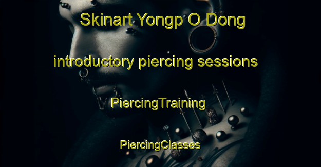 Skinart Yongp O Dong introductory piercing sessions | #PiercingTraining #PiercingClasses #SkinartTraining-Korea