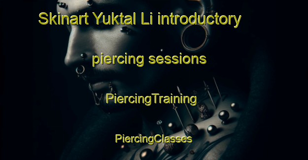 Skinart Yuktal Li introductory piercing sessions | #PiercingTraining #PiercingClasses #SkinartTraining-Korea